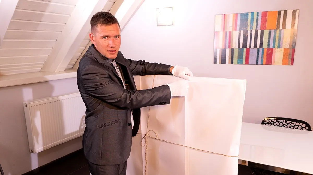 [Gay] Private Art Collector