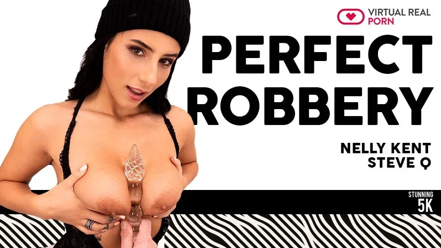 Perfect Robbery – Sexy Breaking and Entering