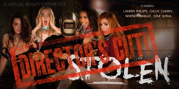 Stolen (Director’s Cut)