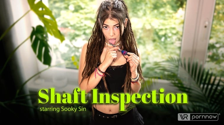Shaft Inspection Starring Sooky Sin